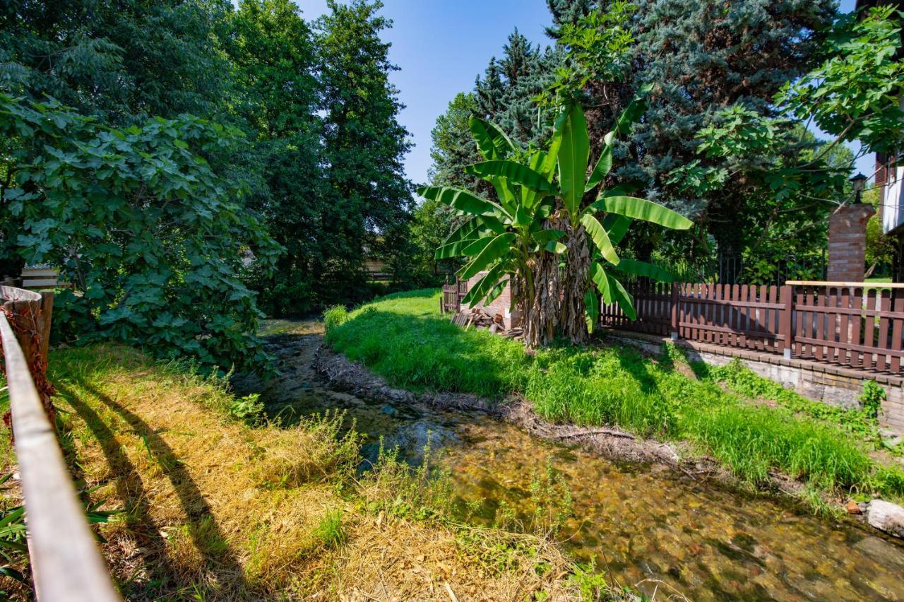 Villa Vitti'S - Verona Est サン・マルティーノ・ブオン・アルベルゴ エクステリア 写真