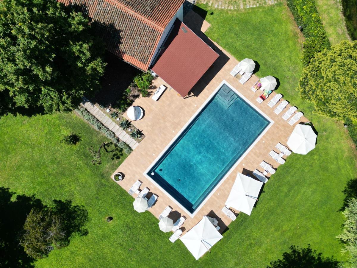 Villa Vitti'S - Verona Est サン・マルティーノ・ブオン・アルベルゴ エクステリア 写真